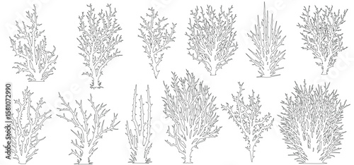 Plant elevation line silhouettes outline - grass, shrub, tree big set vector