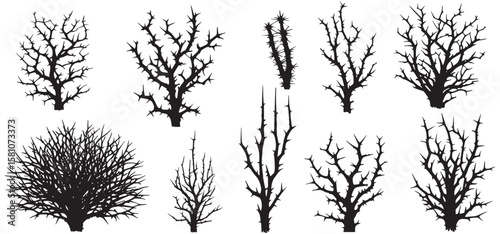 silhouette small jungle bare tree and branches set, vector illustration