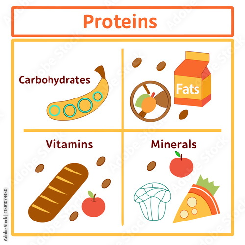 Illustration showing proteins carbohydrates fats vitamins and minerals in foods in a colorful graphic design