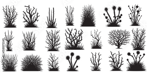 set of bush thorny plant and bare bush, Vector illustration