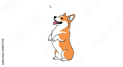 A Cute Corgi Dog Standing on Hind Legs in a Playful Pose