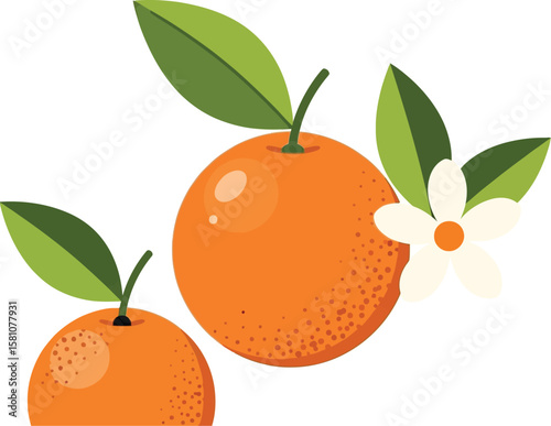 Fresh oranges with leaves and blossoms on a bright background
