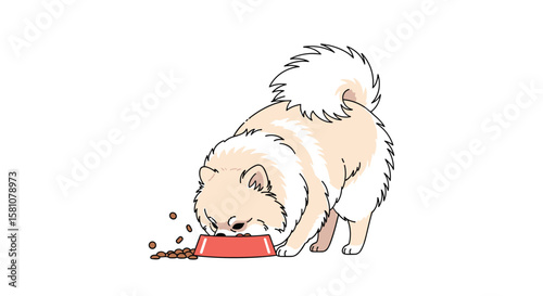 Adorable Chow Chow puppy enjoys a meal of dry kibble from its food bowl
