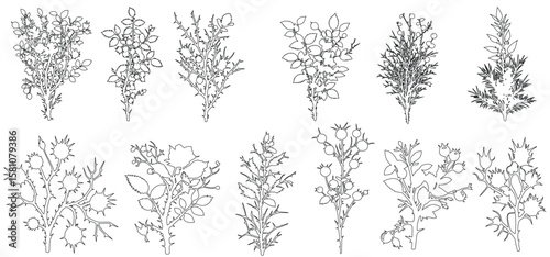set of shrubs and flower line cad, minimal isolated on white background. vector