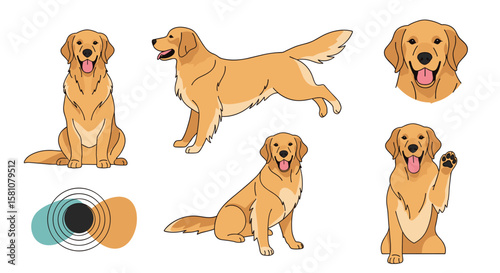 Happy Golden Retriever Dogs Poses and Actions Collection Friendly Canine Companions
