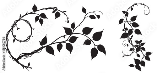 Jungle creeper silhouettes. Tropical forest lianas, rainforest hanging sprouts. Climbing liana vines	