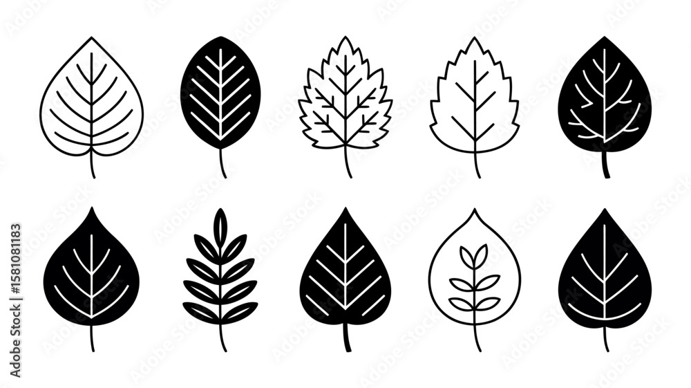 Fototapeta premium Vector art of a collection of diverse leaf shapes isolated on white background represents botanical variety
