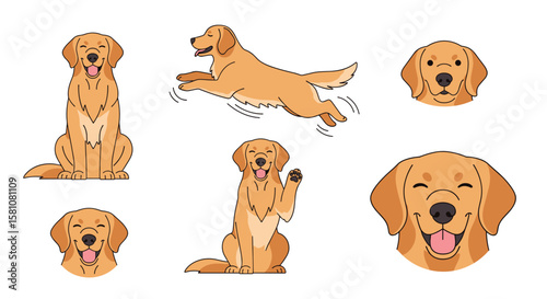 Happy Golden Retriever Poses and Expressions for Joyful Designs