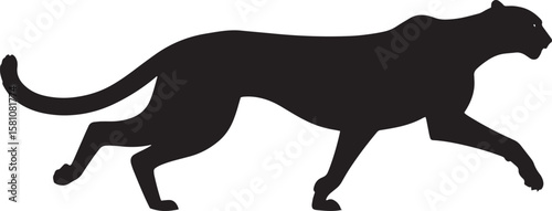 Black panther silhouette walking gracefully feline animal