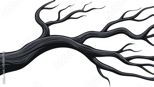 black dried old spooky dead tree branch isolated on transparent white background. cut out.cut out, horizontal, horror, loneliness, photography, abstract, dead, drought, shape, design, nature, old, 