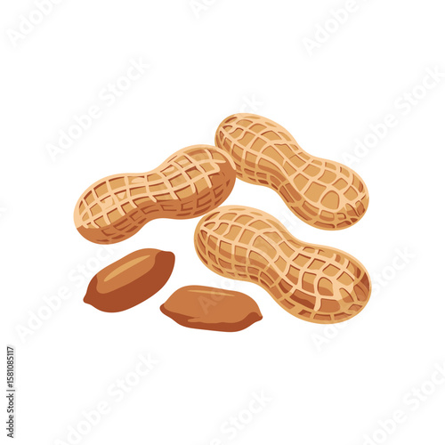 Vector illustration of peanut icon in cartoon flat style. Natural peanut food fat protein for healty life. Drawing nut for menu packaging advertising. Isolated on white background