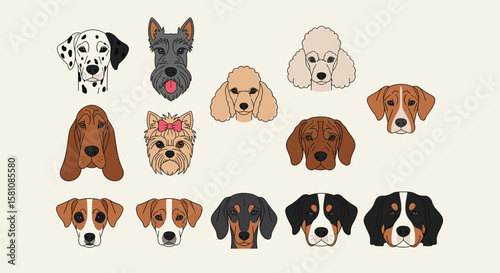 A Diverse Collection of Canine Companions Showcasing Various Breeds and Personalities