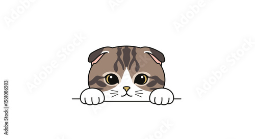 Adorable Scottish Fold Kitten Peeking Over a White Background with Cute Paws Showing
