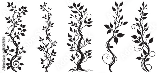 Jungle creeper silhouettes. Tropical forest lianas, rainforest hanging sprouts. Climbing liana vines flat set vector