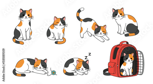 Adorable Calico Cat Poses and Activities Featuring a Red Pet Carrier Backpack
