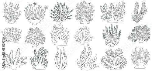 coral reef cad line art vector illustration coral reef outlines, showcasing underwater marine life and ecosystem. Ideal for educational, environmental, and scientific use. vector