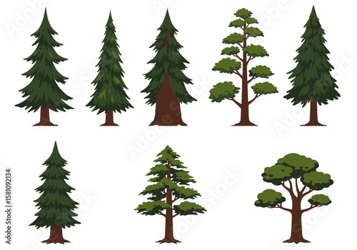 Collection of Cartoon Trees Evergreen Deciduous and Coniferous Varieties.