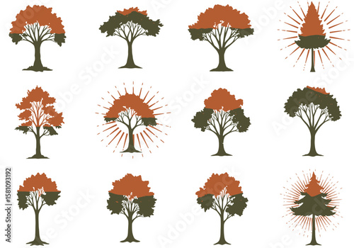 Collection of Stylized Trees with Autumnal and Evergreen Foliage Graphic Elements.