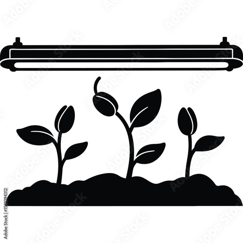 Fluorescent Light Growing Seedlings, Plant Growth, Indoor Gardening Icon