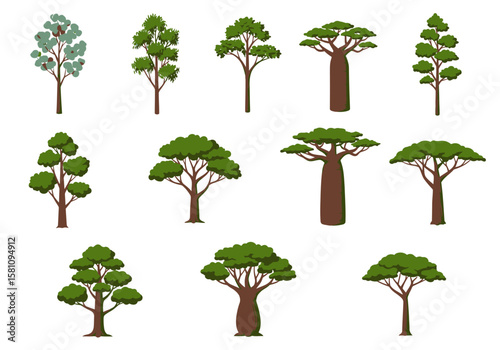 Diverse Cartoon Tree Collection: Baobab, Eucalyptus, and Deciduous Varieties