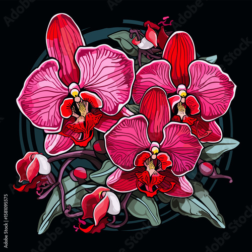 Tropical orchid flowers on dark background in vector pop art style