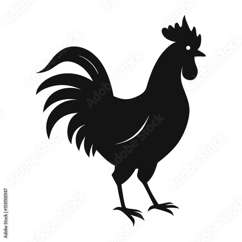 Rooster vector illustration isolated on white background farm bird chicken silhouette cartoon poultry animal design feather beak nature icon