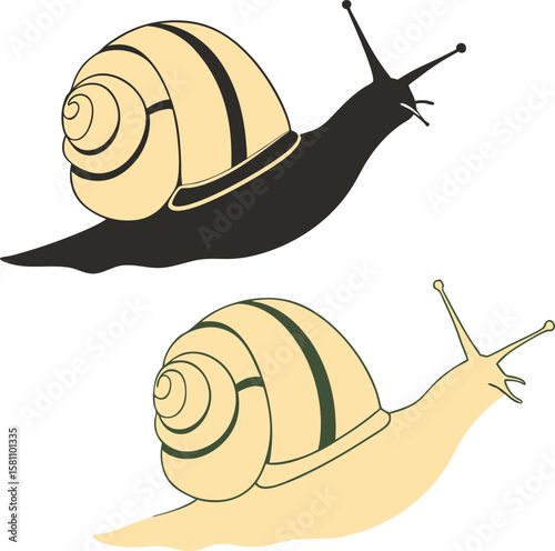 Vector art of two snails, one in silhouette and one detailed, moving forward