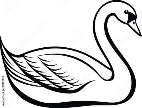 Vector art of a graceful black and white swan illustration, isolated on a white background