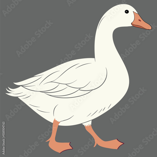 Vector art of a white goose with an orange beak walks on a grey background