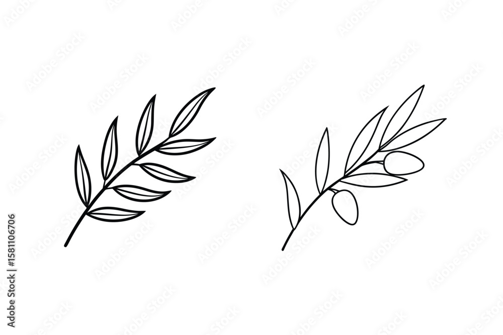 Obraz premium Olive branches with leaves and fruit olive tree olives