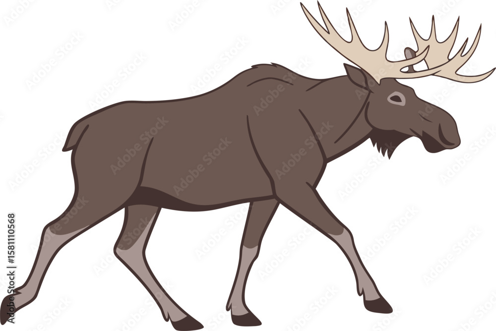 Fototapeta premium Vector art of a brown cartoon moose with large antlers walking, isolated on a white background