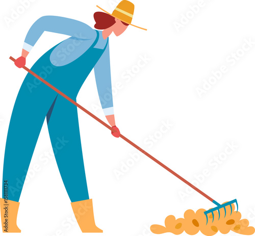 Farmer in blue overalls and a straw hat raking freshly harvested potatoes into a neat pile, working diligently on the sunny autumn day in the countryside field