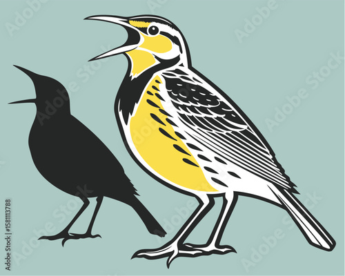 Vector art of a meadowlark sings while a black silhouette of another bird stands nearby