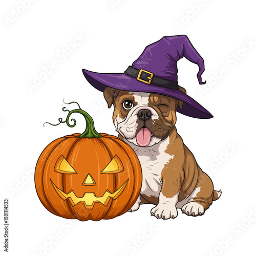 A bulldog puppy wears a witch hat next to a pumpkin