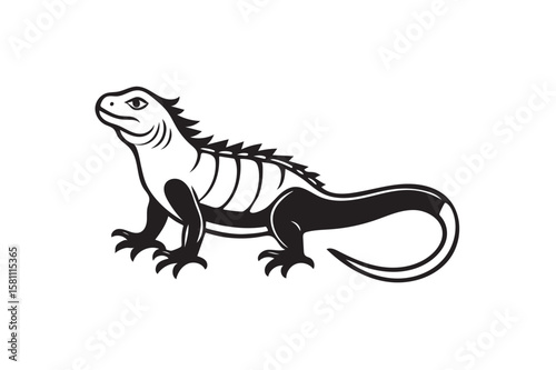 Desert iguana silhouette.