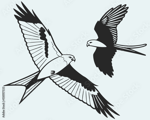 Vector art of two birds of prey soaring in the sky with wings spread wide