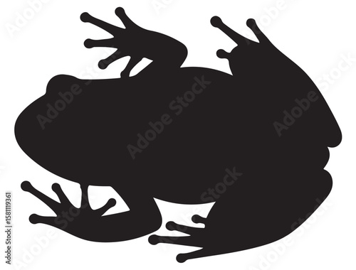 FROG SILHOUETT