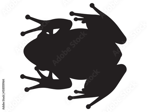 FROG SILHOUETT