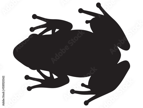 FROG SILHOUETT