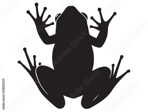 FROG SILHOUETT