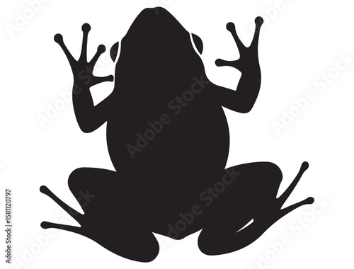 FROG SILHOUETT