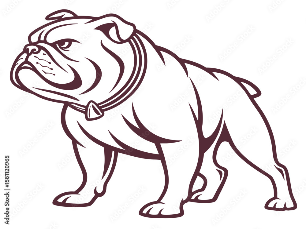 Fototapeta premium Powerful Bulldog Mascot with Spiked Collar