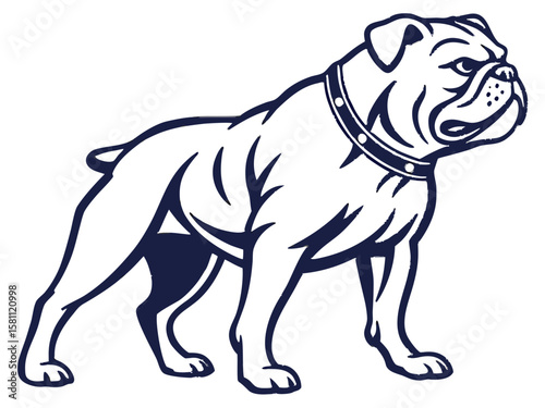 Powerful Bulldog Mascot with Spiked Collar