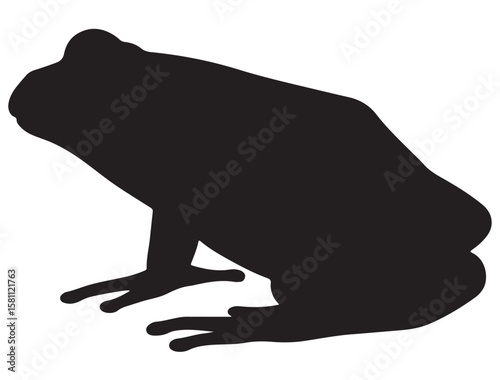 FROG SILHOUETT