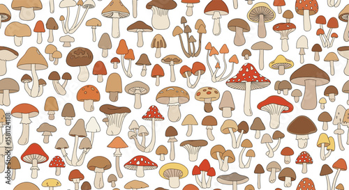 A vivid mosaic of forest floor fungi diverse mushroom varieties adorn the natural woodland landscape