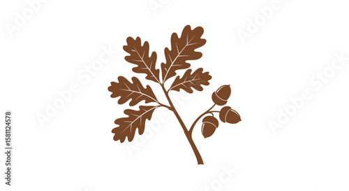 An illustrated oak branch with acorns a symbol of nature's strength and resilience