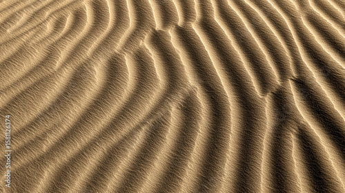 Fototapeta Naklejka Na Ścianę i Meble -  Desert Sand Dunes in Saudi Arabia.
