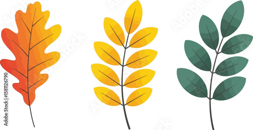 Autumnal vector design shows colorful leaves, including oak and rowan