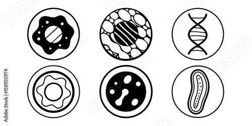 A glossy, round black button icon from a collection of web design symbols, perfect for fashion or game UI