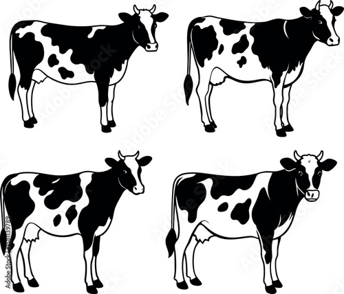 Collection of black and white cows isolated on white background